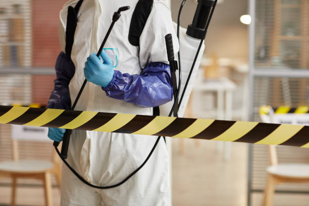 Professional Sewage Cleanup technician working in Conroe, TX